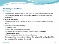 Head and Neck (2).pptx